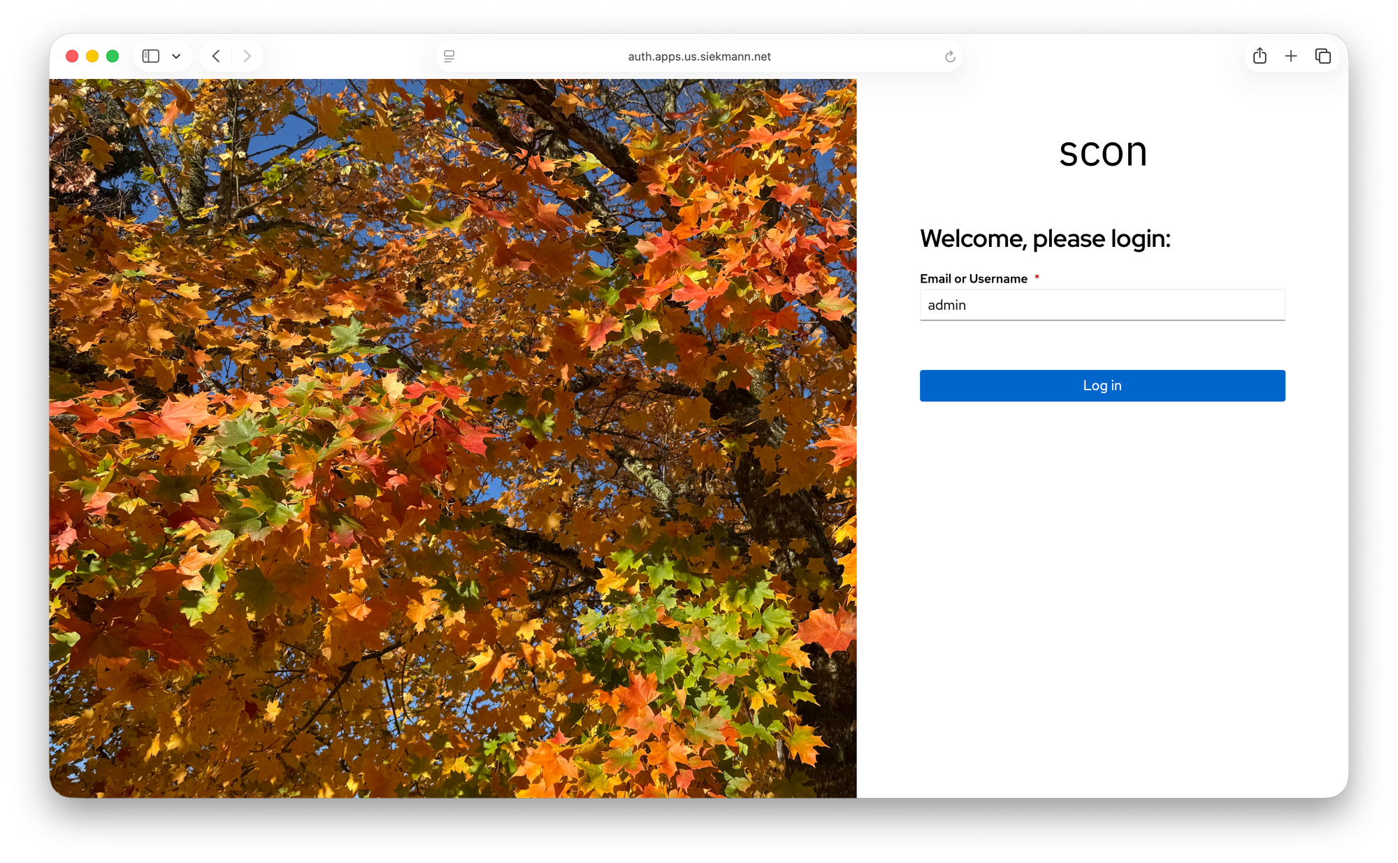 screenshot of branded login page with autumn leaves and input box